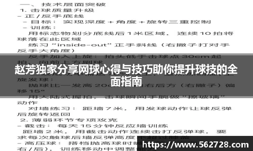赵芳独家分享网球心得与技巧助你提升球技的全面指南